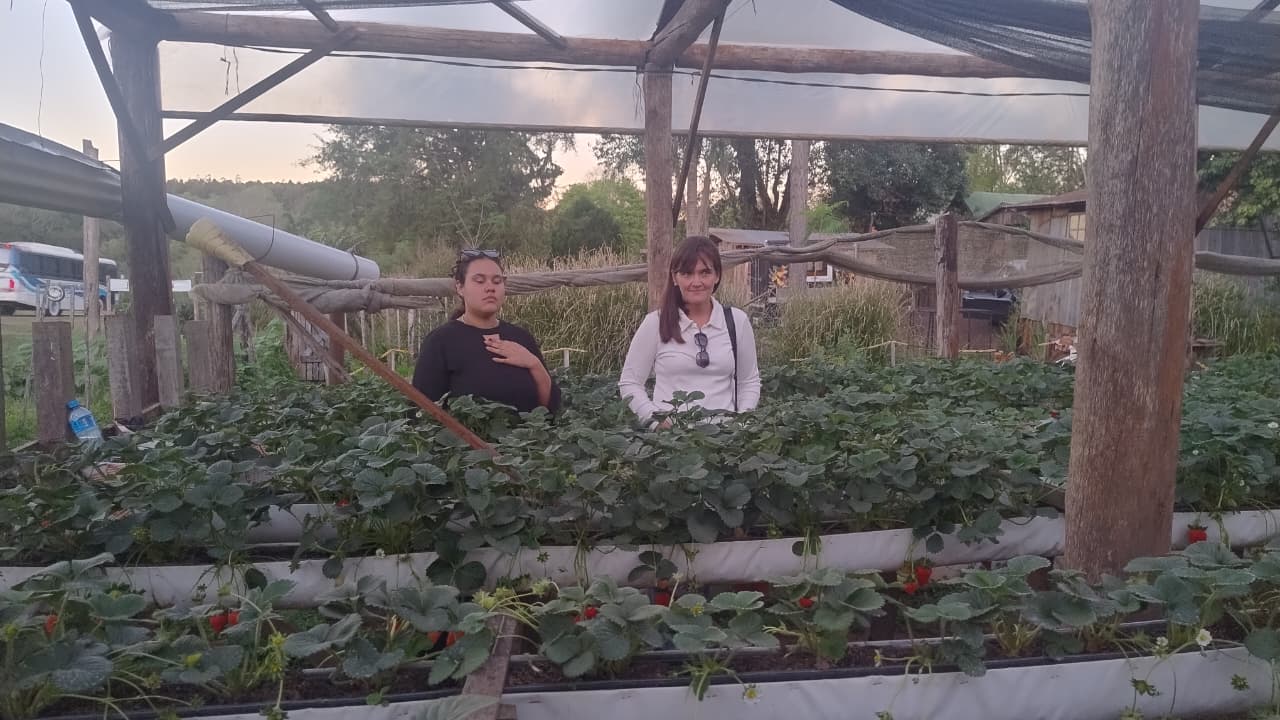 WhatsApp Image 2025 09 29 at 170840