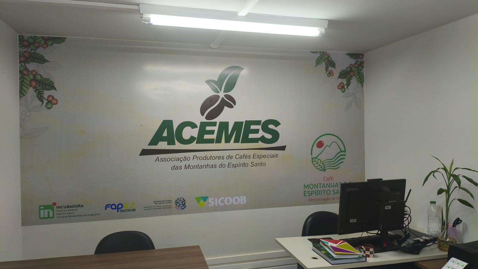 WhatsApp Image 2026 02 02 at 155847