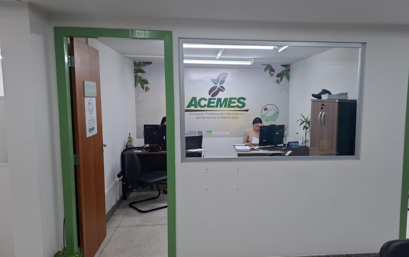 WhatsApp Image 2026 02 02 at 155933